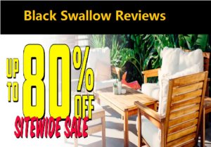 Black Swallow review