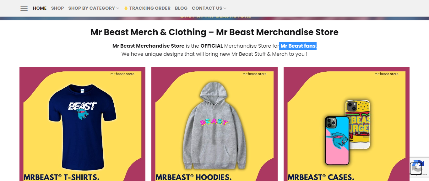 Mr-beast.store review