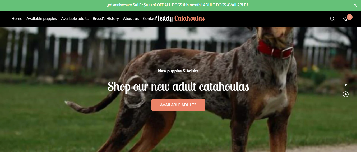 Teddycatahoulasdog review